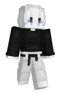 mttds Minecraft avatar full body