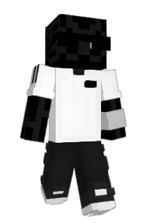 muils Minecraft avatar full body