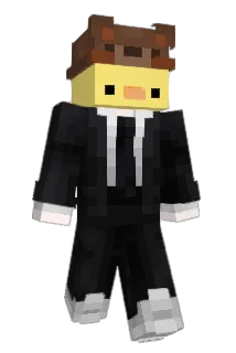 muji34 Minecraft avatar full body