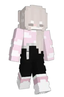 mung1127 Minecraft avatar full body