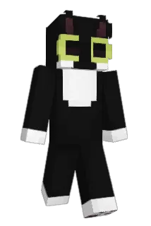 munji222 Minecraft avatar full body