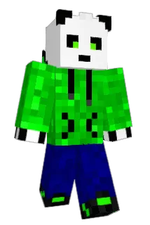 munrodunk Minecraft avatar full body