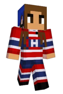 mwgp Minecraft avatar full body