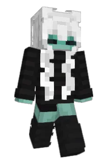 mwidd Minecraft avatar full body