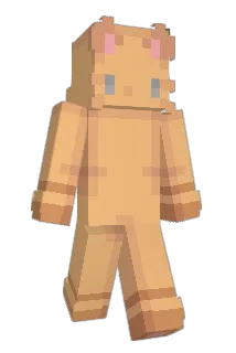 mwills Minecraft avatar full body