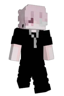 mwoe Minecraft avatar full body