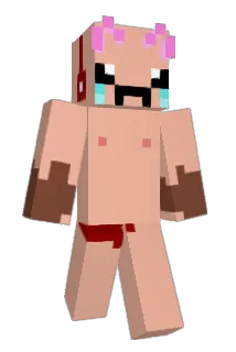 mwrco Minecraft avatar full body