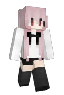 myje Minecraft avatar full body