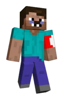 mypetfish1 Minecraft avatar full body