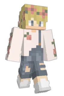 n04hb411 Minecraft avatar full body