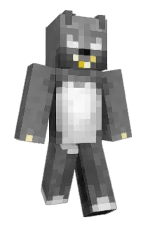 n0t0xy Minecraft avatar full body