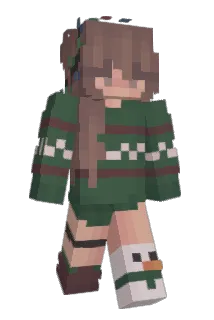 n0tkylie Minecraft avatar full body