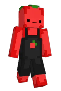 n0x767 Minecraft avatar full body