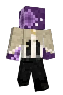 n14lol Minecraft avatar full body