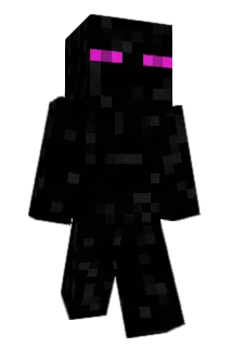 n1ceday Minecraft avatar full body