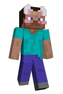n1cot1na Minecraft avatar full body