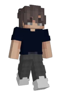 n1gg3rsinthepool Minecraft avatar full body