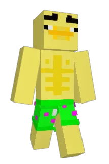 n1karus Minecraft avatar full body
