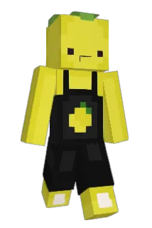 n1ller__ Minecraft avatar full body