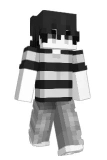 n5l4n Minecraft avatar full body