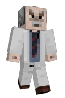 n5tes Minecraft avatar full body