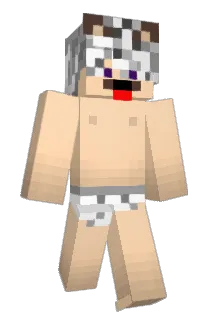 n8j1s Minecraft avatar full body