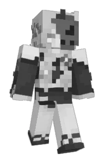 n9in9e Minecraft avatar full body