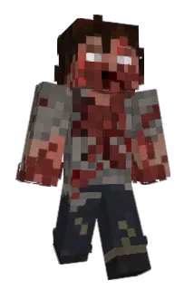 nDS__ Minecraft avatar full body