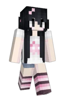 n_nt Minecraft avatar full body