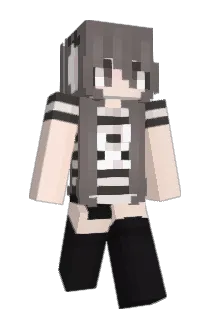 n_nw Minecraft avatar full body
