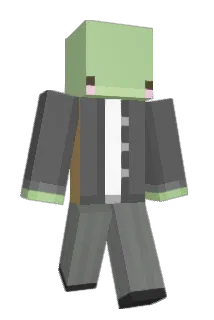 nachoboss Minecraft avatar full body