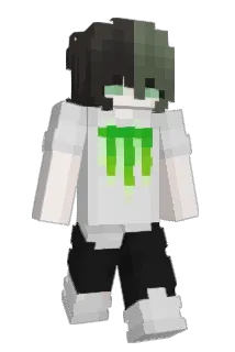 nachokid33 Minecraft avatar full body
