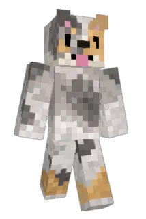 nachoszn_ Minecraft avatar full body