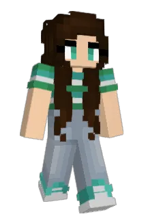 naeeeee Minecraft avatar full body