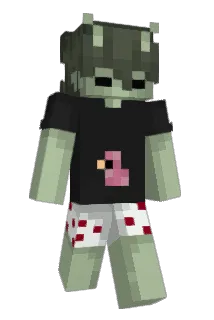 naenaeme69 Minecraft avatar full body