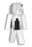 nahesi Minecraft avatar full body