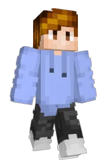 naibaf66 Minecraft avatar full body