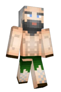 nairu83 Minecraft avatar full body