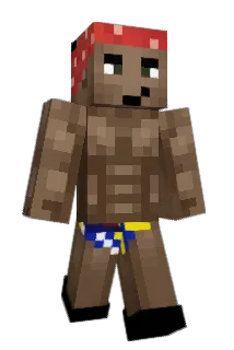 naisixxx Minecraft avatar full body