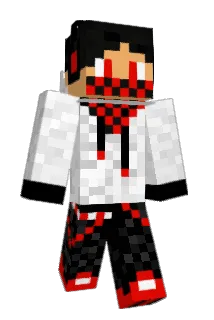 najile1 Minecraft avatar full body