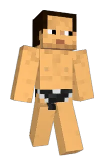 nakapooh Minecraft avatar full body