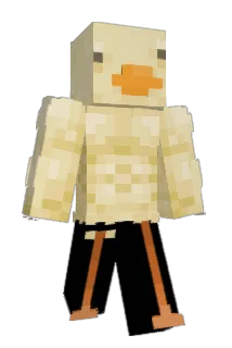 nalin21 Minecraft avatar full body