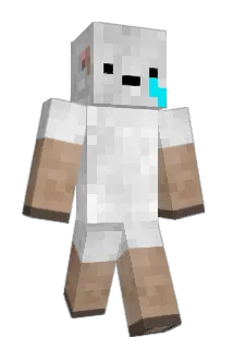 nalllee Minecraft avatar full body
