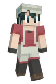 namacomon Minecraft avatar full body