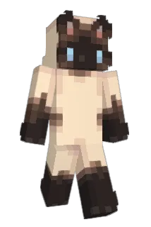 namebic Minecraft avatar full body