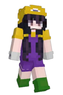 namechanging Minecraft avatar full body