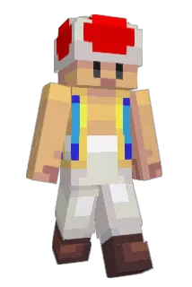 nameehasan Minecraft avatar full body