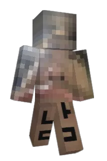 namjinwoo Minecraft avatar full body