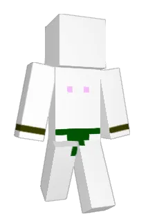 namoo12 Minecraft avatar full body
