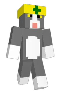 naname2 Minecraft avatar full body